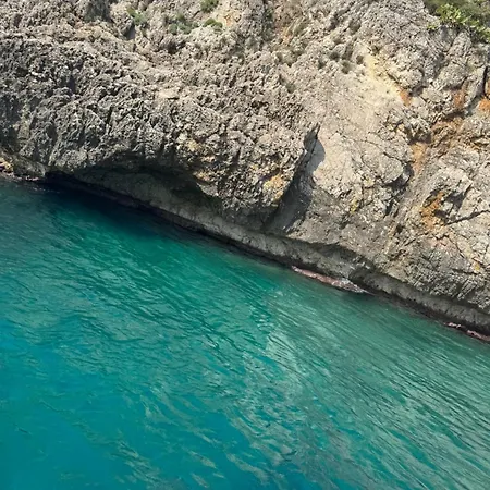 Dagma Sicilia *